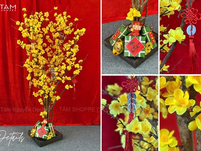 Cây Mai Vàng thân gỗ Cao 130 - 140cm CAYCANH-TET-02